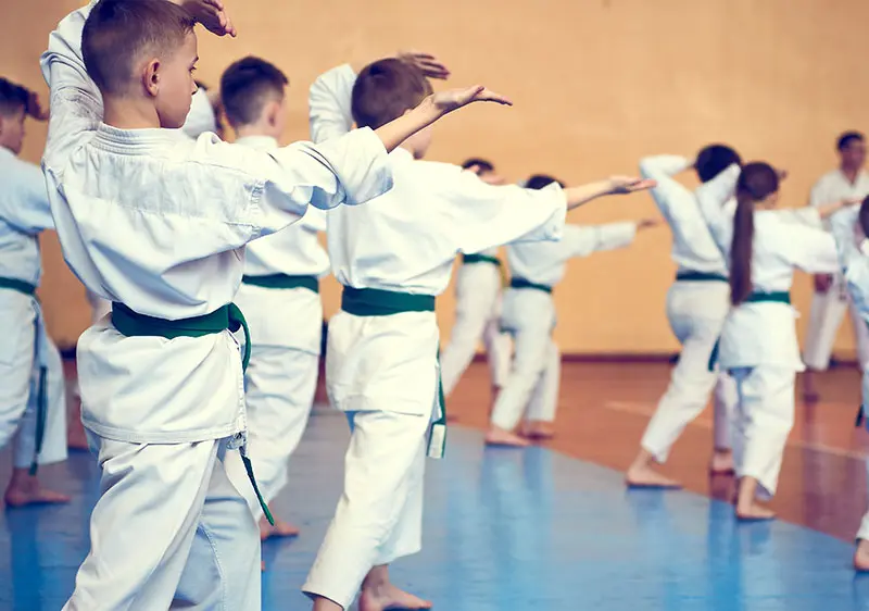 Kids Hapkido Classes